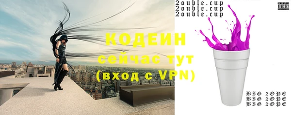 молекула духа Краснослободск