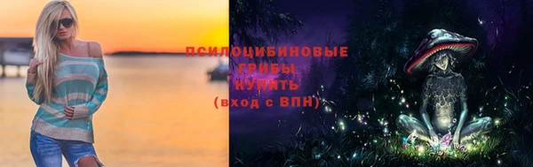 молекула духа Краснослободск