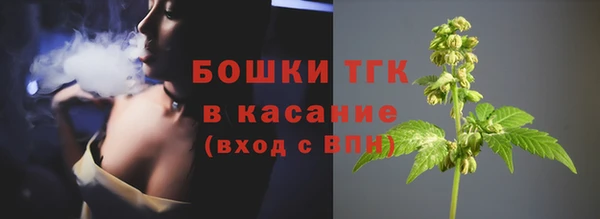 сатива Корсаков