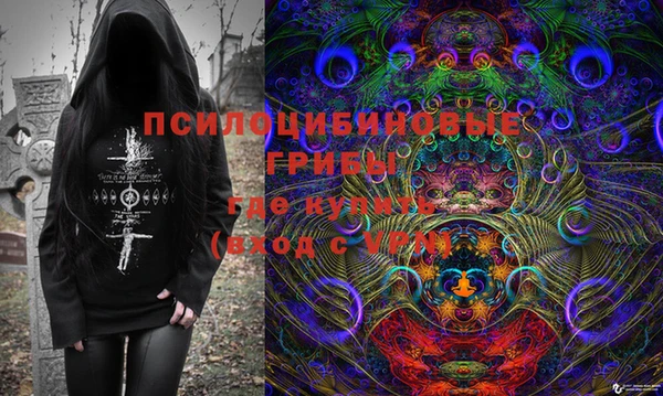 мяу мяу мука Кукмор