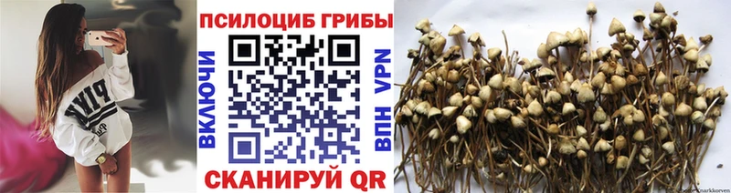 Псилоцибиновые грибы прущие грибы  продажа наркотиков  Строитель 